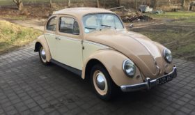 VW Bobbel 113 1,2 DeLuxe 34 HK