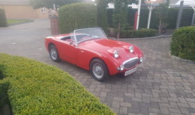 Austin-Healey Sprite Mk1