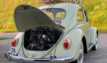 VW Bobbel 1200 De Luxe full