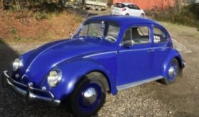 VW Bobbel 113 De Luxe