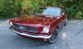 Ford Mustang 4,7 V8 289CUI