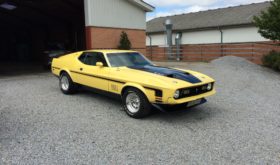 Ford Mustang 5,7 MACH 1