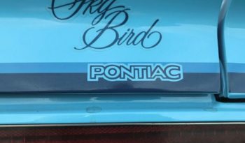 Pontiac Firebird Skybird full