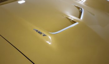 Chevrolet Corvette Stingray full