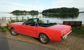 Ford Mustang 4,7 V8 289 Cui Cab