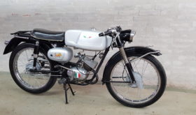 Benelli Pesaro Motobi 50cc