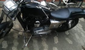 Harley Davidson Sporster