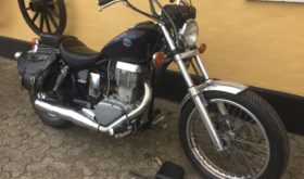 Suzuki LS 650 Savage