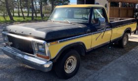 Ford F-150 7,5L v8, RWD Ranger