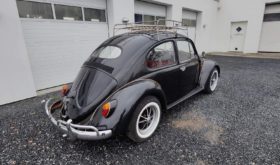 VW 1600 Bobbel