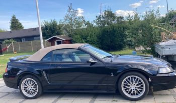 Ford Mustang SVT Cobra Cabriolet full