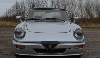 Alfa Romeo Spider qv full