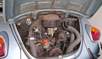 VW Bobbel 1302 Weltmeister (Jubilæumsmodel) full