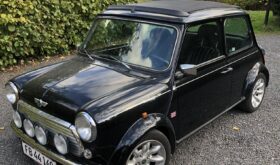 Mini Mini Rover Mini