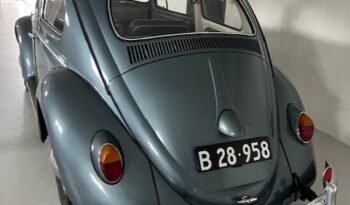 VW Bobbel 1958 full