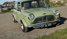 Austin (Mini) Countryman Morris mascot