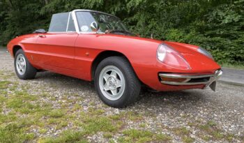 Alfa Romeo Spider Duetto 1600 full