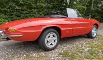 Alfa Romeo Spider Duetto 1600 full