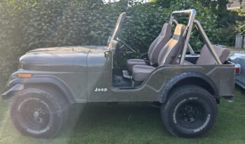 Jeep CJ-5 CJ 5 V6 full