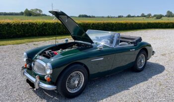 Austin-Healey 3000 BJ8 full