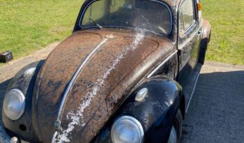VW T1 1200 oval full