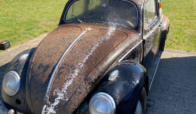 VW T1 1200 oval full