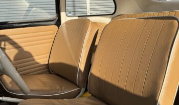 VW T1 1200 oval full