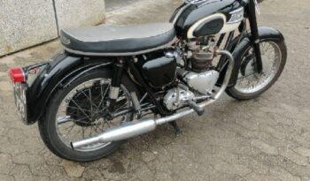 Triumph T110 full