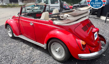 VW Bobbel 1302 Cabriolet full