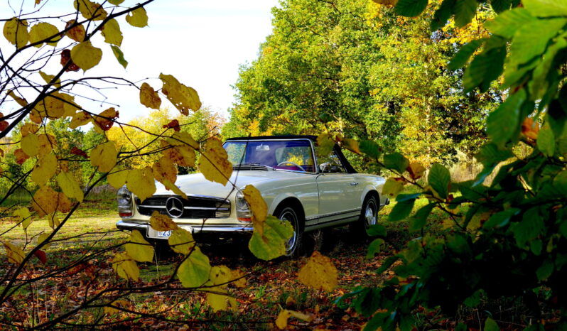 Mercedes-Benz SL (W113) 230 SL Pagode full