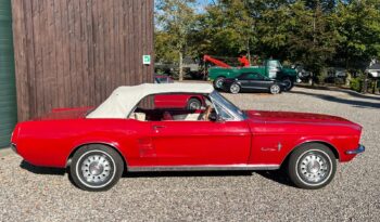 Ford Mustang 4,7 V8 289CUI Cabriolet full