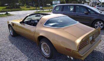 Pontiac Firebird Trans Am full