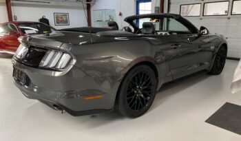 Ford Mustang 5,0 GT Cabriolet full