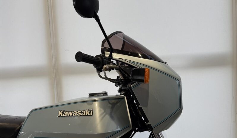 Kawasaki Z1000D Z1R full