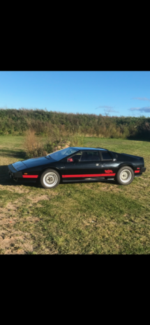 Lotus Esprit Turbo S3 full