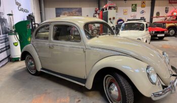 VW Bobbel Ovaler orig 1954 full