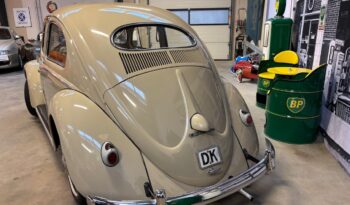 VW Bobbel Ovaler orig 1954 full