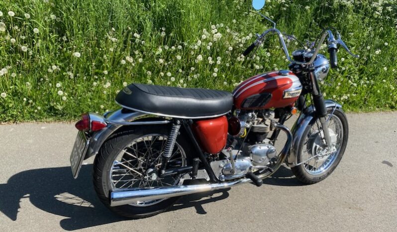 Triumph 650 Bonneville amerikanermodel full