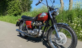 Triumph 650 Bonneville amerikanermodel full