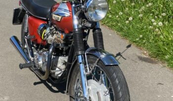 Triumph 650 Bonneville amerikanermodel full