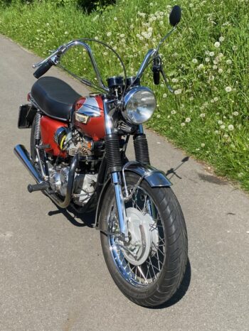 Triumph 650 Bonneville amerikanermodel full