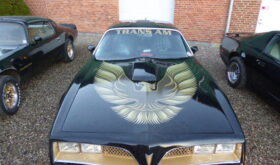 Pontiac Firebird Transam 6,6 l