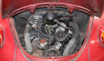 VW Bobbel 1200 full
