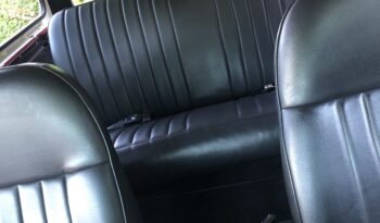 Ford Øvrige Bronco full