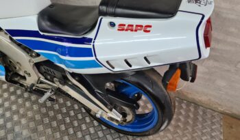 Suzuki RGV 250 Gamma full
