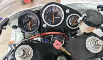 Suzuki RGV 250 Gamma full