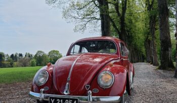 VW Bobbel 1200 oval full