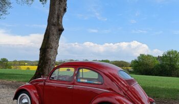 VW Bobbel 1200 oval full