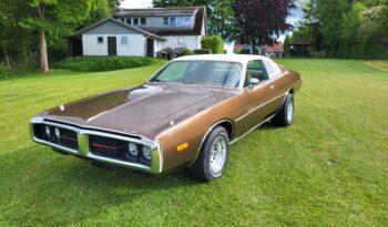 Dodge Charger Special Edition full