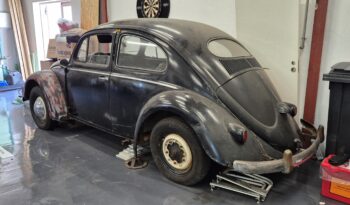 VW Bobbel 1200 oval full